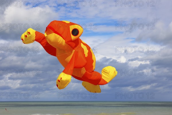 Kite festival on the beach, international kite festival, kite in the shape of a frog, Dieppe, Normandy, France