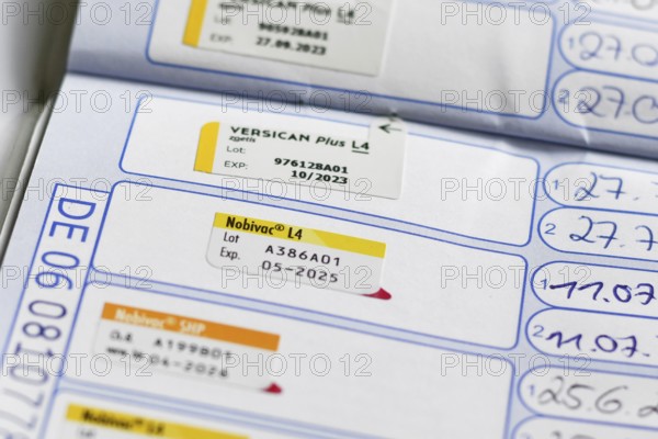 Germany - August 2025: Dog vaccination record in pet passport. Stamp of Nobivac L4 vaccine against leptospirosis