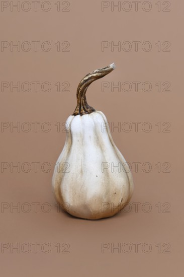 Single ceramic pumpkin ornament on brown background. Minimal autumn decoration object