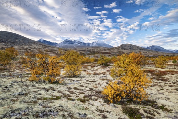 Autumn landscape in Rondane National Park, mountains, Døråldalen, Norway