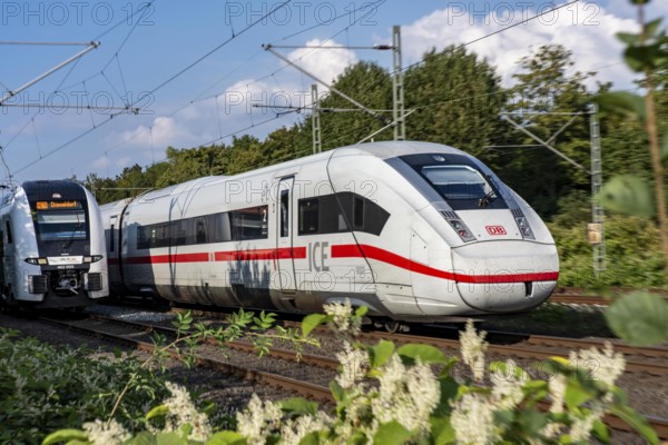 Train traffic on one of the busiest railway lines in Germany, ICE train between Duisburg and Düsseldorf, commuter trains, regional trains, ICE and IC long-distance trains and freight traffic, North Rhine-Westphalia, Germany