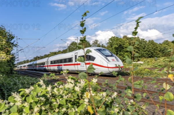 Train traffic on one of the busiest railway lines in Germany, ICE train between Duisburg and Düsseldorf, commuter trains, regional trains, ICE and IC long-distance trains and freight traffic, North Rhine-Westphalia, Germany