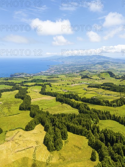 Green Lush Hills with Pasturelands and Trees. Atlantic Ocean. Azores, Sao Miguel Island. Portugal. Aerial View