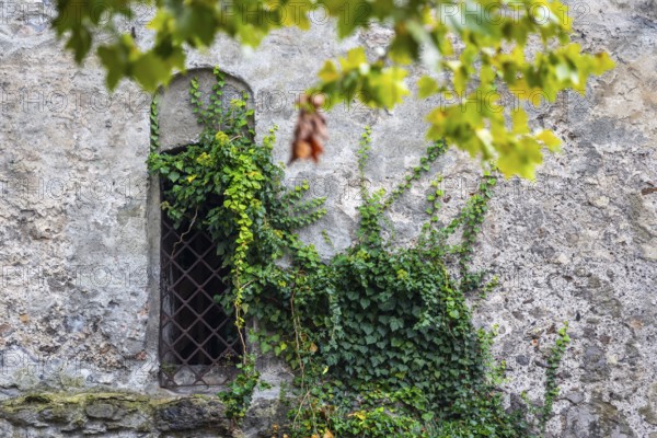 Facade, historic building, Wassertrum, Feldkirch, Vorarlberg, Austria