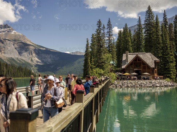 Tourists walking on a wooden bridge over Emerald Lake leading to a cabin, part of Emerald Lake Lodge surrounded by the Canadian Rocky Mountains within Yoho National Park in Alberta, Canada, North Canada