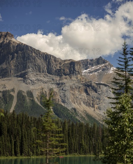 A rugged mountain scene of the Canadian Rocky Mountains with pine trees and clouds in a bright blue sky within Yoho National Park in Alberta, Canada, North Canada