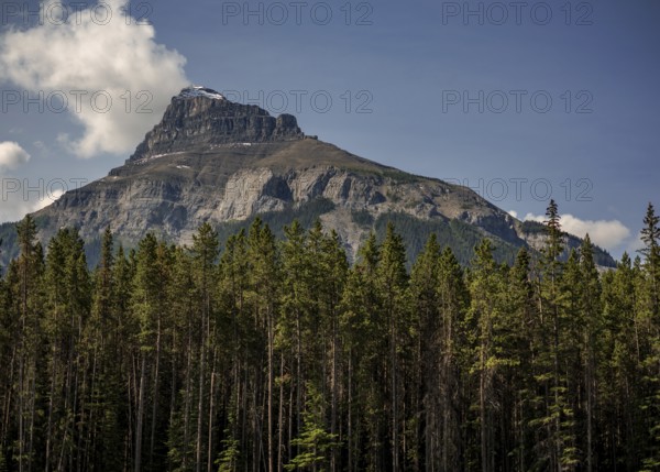 Majestic mountain of the Canadian Rocky Mountains with a rocky peak rising above a forest under a clear sky within Yoho National Park in Alberta, Canada, North Canada