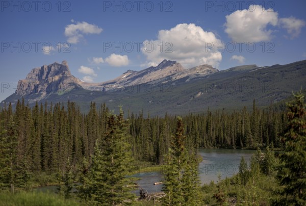 A tranquil mountain landscape of the Canadian Rocky Mountains with a lake, forest, and fluffy clouds under a blue sky within Yoho National Park in Alberta, Canada, North Canada