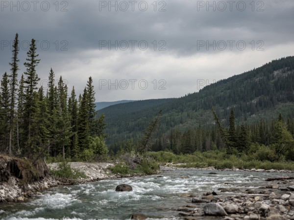 A flowing Elbow River bordered by dense forests and mountains under a cloudy sky within Bragg Creek Provincial Park, in Alberta, Canada, North America