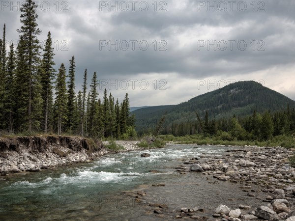 A rocky Elbow River flows between dense forests under an overcast sky in a mountainous region within Bragg Creek Provincial Park, in Alberta, Canada, North America