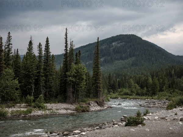 The Elbow River winds through a vast forest with mountains under a moody sky within Bragg Creek Provincial Park, in Alberta, Canada, North America
