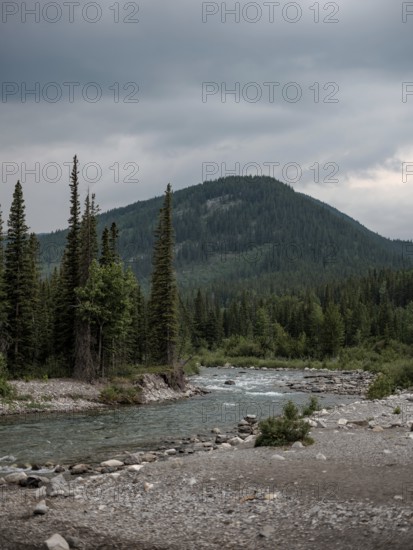 The Elbow River meanders through a dense evergreen forest beneath a cloudy sky within Bragg Creek Provincial Park, in Alberta, Canada, North America