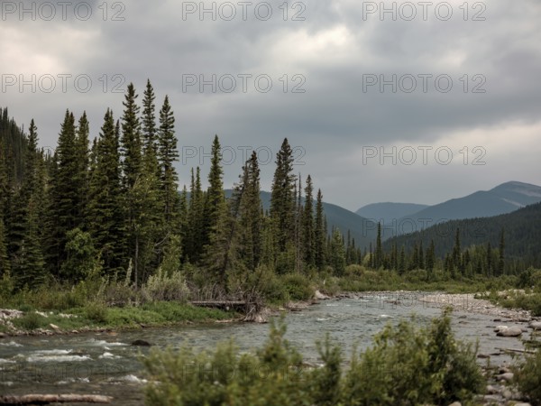 A tranquil Elbow River runs through a forest with a backdrop of distant mountains within Bragg Creek Provincial Park, in Alberta, Canada, North America