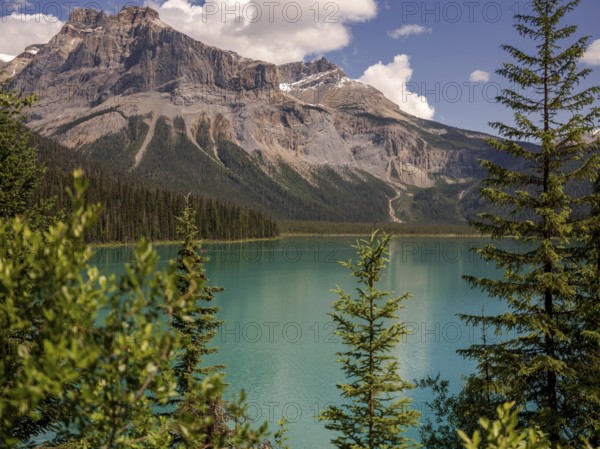 Emerald Lake with lush greenery and the rugged Canadian Rocky Mountains within Yoho National Park in Alberta, Canada, North Canada