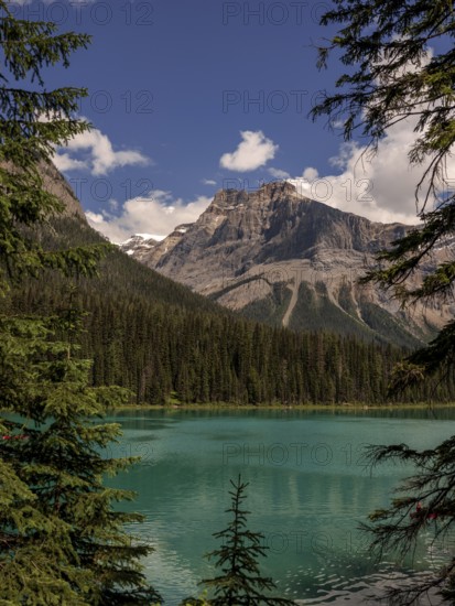 Turquoise Emerald Lake with surrounding Canadian Rocky Mountains and trees within Yoho National Park in Alberta, Canada, North Canada