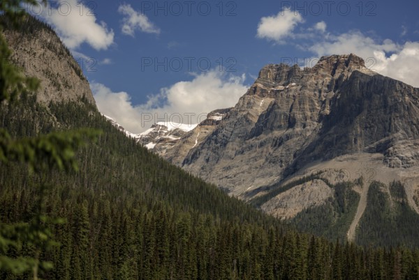 The Canadian Rocky Mountains under a blue sky with clouds and dense forest within Yoho National Park in Alberta, Canada, North Canada