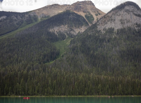 Vast forest of the Canadian Rocky Mountains and a serene Emerald Lake inside Yoho National Park, British Columbia, Canada, North America