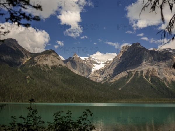 Snow-capped Canadian Rocky Mountains beside Emerald Lake with a clear blue sky inside Yoho National Park, British Columbia, Canada, North America