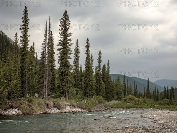 Serene river scene of the Elbow River surrounded by trees and mountains under an overcast sky within Bragg Creek Provincial Park, in Alberta, Canada, North America