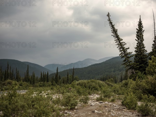 Mountain view with trees and rocky terrain under an overcast sky within Bragg Creek Provincial Park, in Alberta, Canada, North America