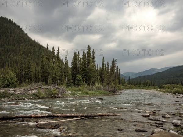 The Elbow River flowing through a forested mountain landscape under an overcast sky within Bragg Creek Provincial Park, in Alberta, Canada, North America