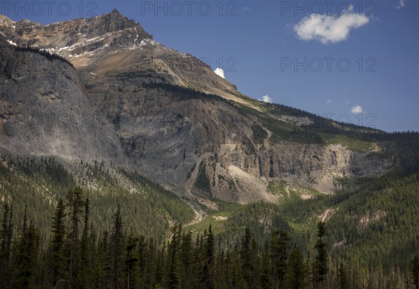 Expansive mountain of the Canadian Rocky Mountains and forest landscape under clear skies inside Yoho National Park, British Columbia, Canada, North America