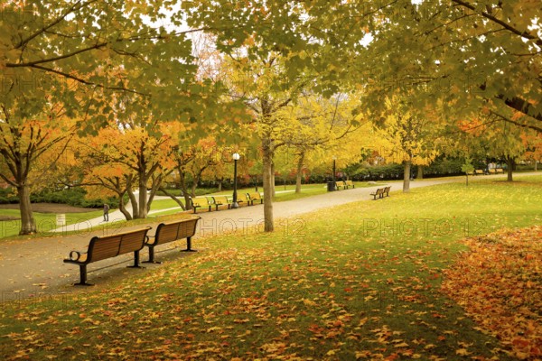Park scene in fall with a pathway and benches, surrounded by trees in vibrant autumn colors, evoking serenity in Ottawa, Ontario, Canada, North America
