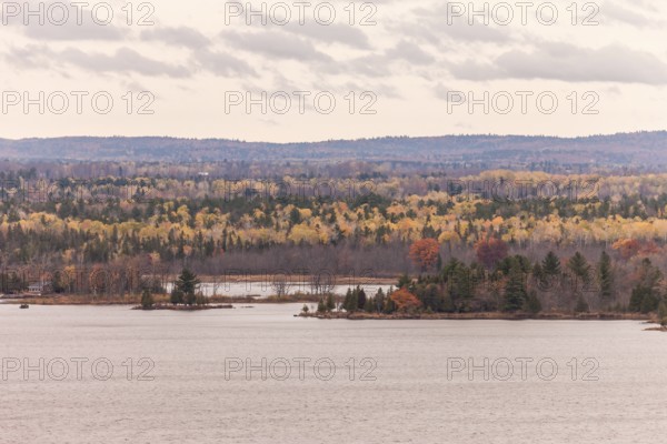 Autumn forest with yellow and orange trees bordering the Ottawa River under a cloudy sky in Ottawa, Ontario, Canada, North America