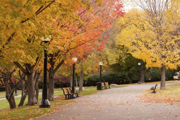 Autumn scene in a park with colorful trees lining a quiet path with benches in Ottawa, Ontario, Canada, North America