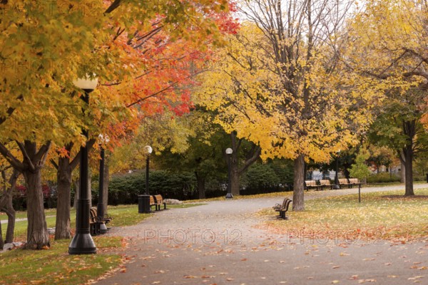A serene park during autumn with vibrant foliage and empty benches along a paved path in Ottawa, Ontario, Canada, North America