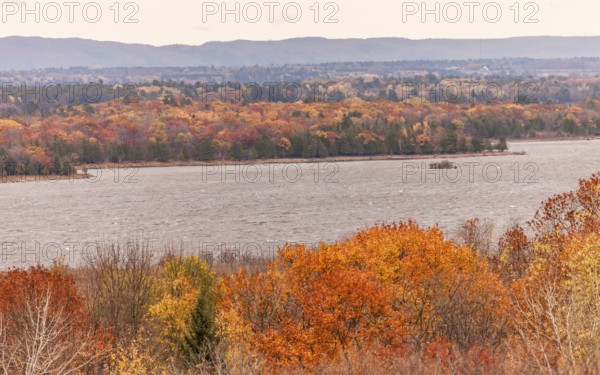 Vibrant autumn forest along the Ottawa River with distant hills under a cloudy sky in Ottawa, Ontario, Canada, North America