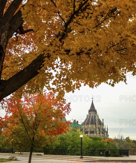 Colorful autumn trees framing a distant view of a gothic-style of the Canadian Parliament Building, in Ottawa, Ontario, Canada, North America
