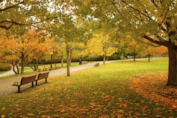 An autumnal park scene with benches and a pathway, framed by colorful tree foliage, exuding tranquility in Ottawa, Ontario, Canada, North America