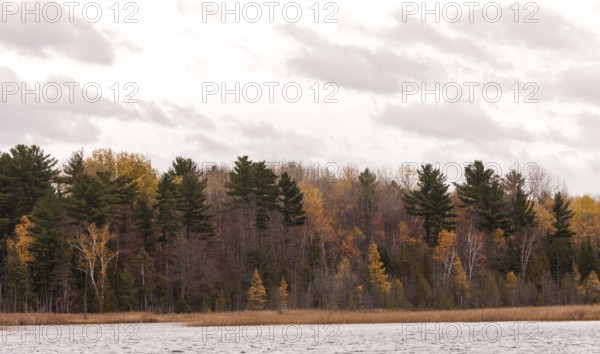 Forest and lake scene with autumn foliage and an overcast sky in Ottawa, Ontario, Canada, North America