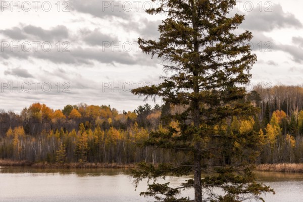 A serene lake scene with autumn trees and an overcast sky in Ottawa, Ontario, Canada, North America