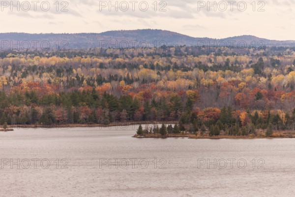 Autumn colors dominate a forest landscape by the Ottawa River with distant hills in Ottawa, Ontario, Canada, North America
