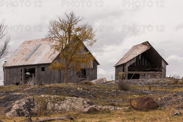 Two old barns in a rural area with autumn trees and a cloudy sky in Ottawa, Ontario, Canada, North America