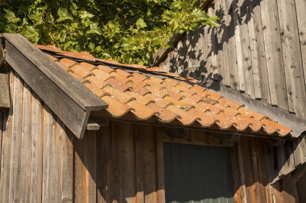 Borken, NRW, Germany, Rustic wooden shed featuring old terracotta roof tiles and green foliage above