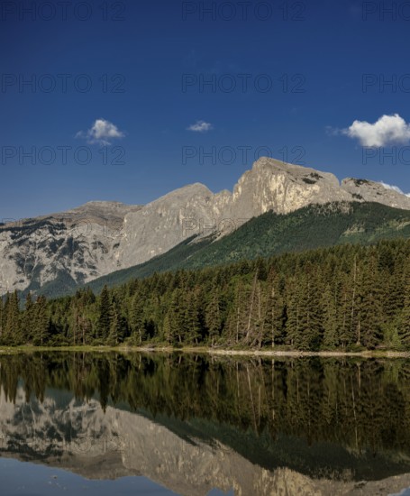 Tall mountains of the Canadian Rocky Mountains and trees reflecting in a serene lake under a clear sky near Canmore, Alberta, Canada, North America