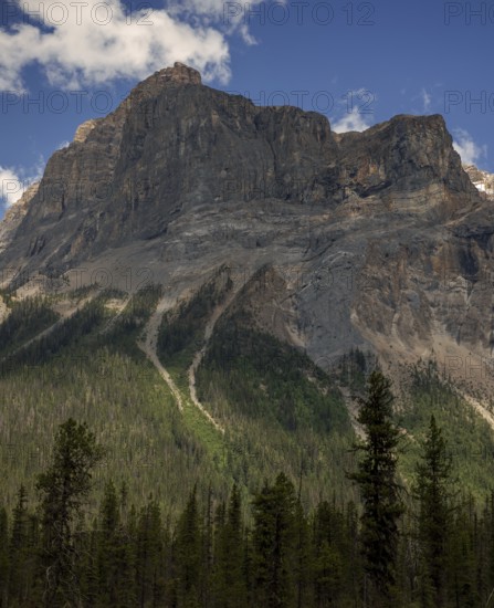 Steep rocky mountain peak of the Canadian Rocky Mountains with a forest at the base under a clear blue sky inside Yoho National Park, British Columbia, Canada, North America