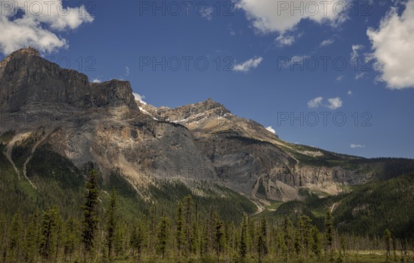 Majestic mountain landscape of the Canadian Rocky Mountains with rugged terrain and expansive forest inside Yoho National Park, British Columbia, Canada, North America