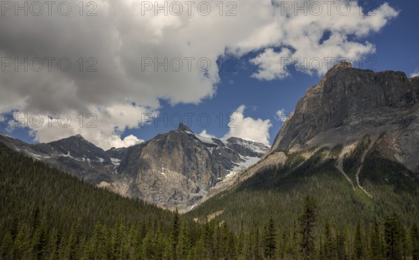 Rocky peaks of the Canadian Rocky Mountains under scattered clouds with a lush forest at the base inside Yoho National Park, British Columbia, Canada, North America