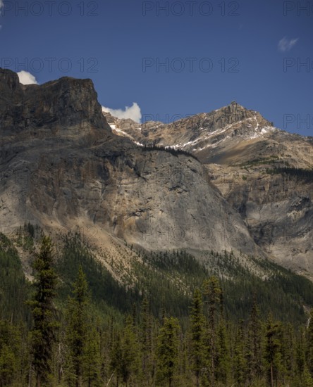 Mountain peaks of the Canadian Rocky Mountains with patches of snow and a forested base under a clear blue sky inside Yoho National Park, British Columbia, Canada, North America