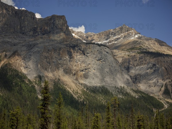 Rocky cliffs of the Canadian Rocky Mountains, tower over a vibrant green forest with a clear sky as backdrop inside Yoho National Park, British Columbia, Canada, North America