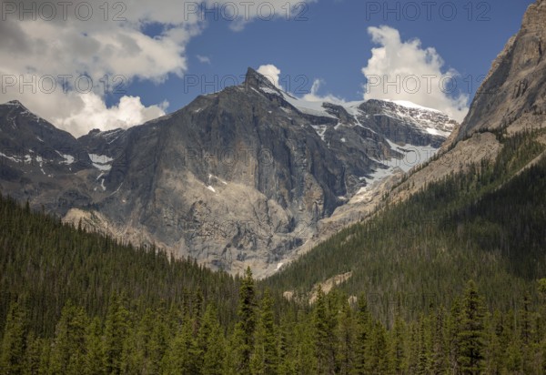 Imposing cliffs of the Canadian Rocky Mountains with snowy patches and dense forest beneath a clear sky inside Yoho National Park, British Columbia, Canada, North America