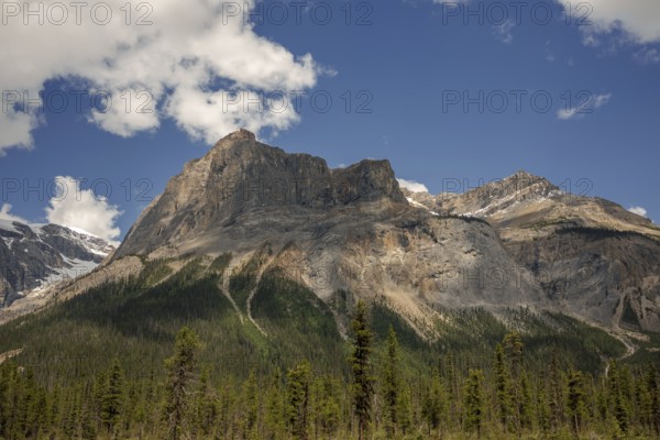Massive mountain peaks of the Canadian Rocky Mountains surrounded by green forest and a clear blue sky inside Yoho National Park, British Columbia, Canada, North America