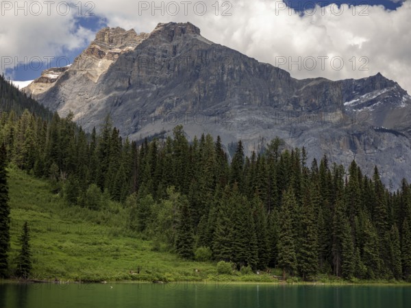 Imposing rocky mountain of the Canadian Rocky Mountains and dense forest with a bright sky and clouds inside Yoho National Park, British Columbia, Canada, North America