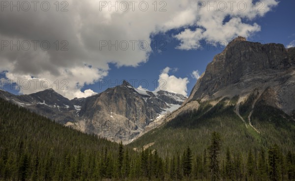 Dramatic mountain range of the Canadian Rocky Mountians under a cloudy sky with dense green forest in the foreground inside Yoho National Park, British Columbia, Canada, North America