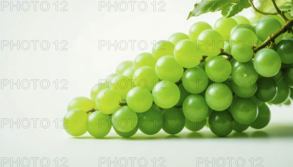 A close-up shot showcases a bunch of vibrant green grapes, beautifully arranged against a clean, white backdrop, highlighting their freshness, AI generated