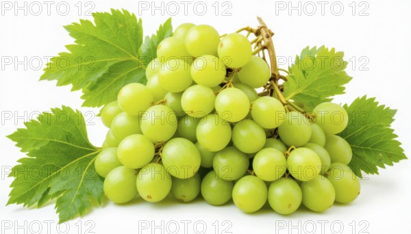 This image showcases a cluster of ripe, green grapes, complete with vibrant green leaves, set against a clean white background, perfect for various uses, AI generated